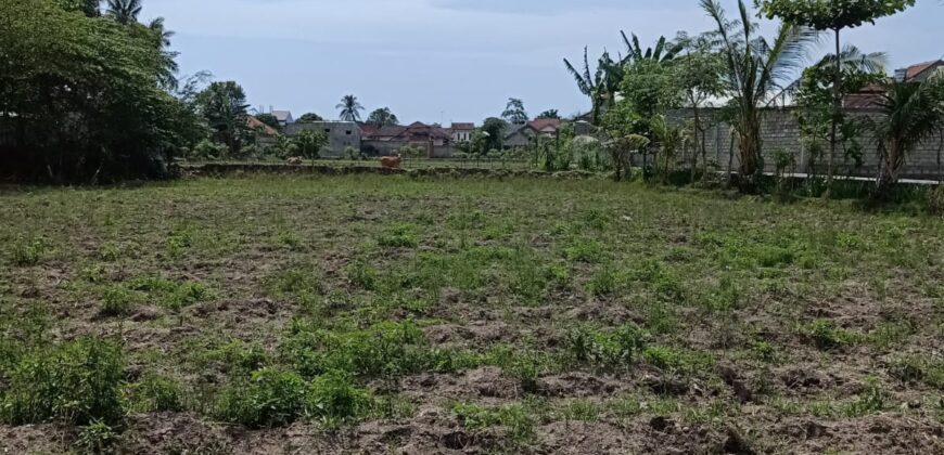 Tanah di meninting lombok barat