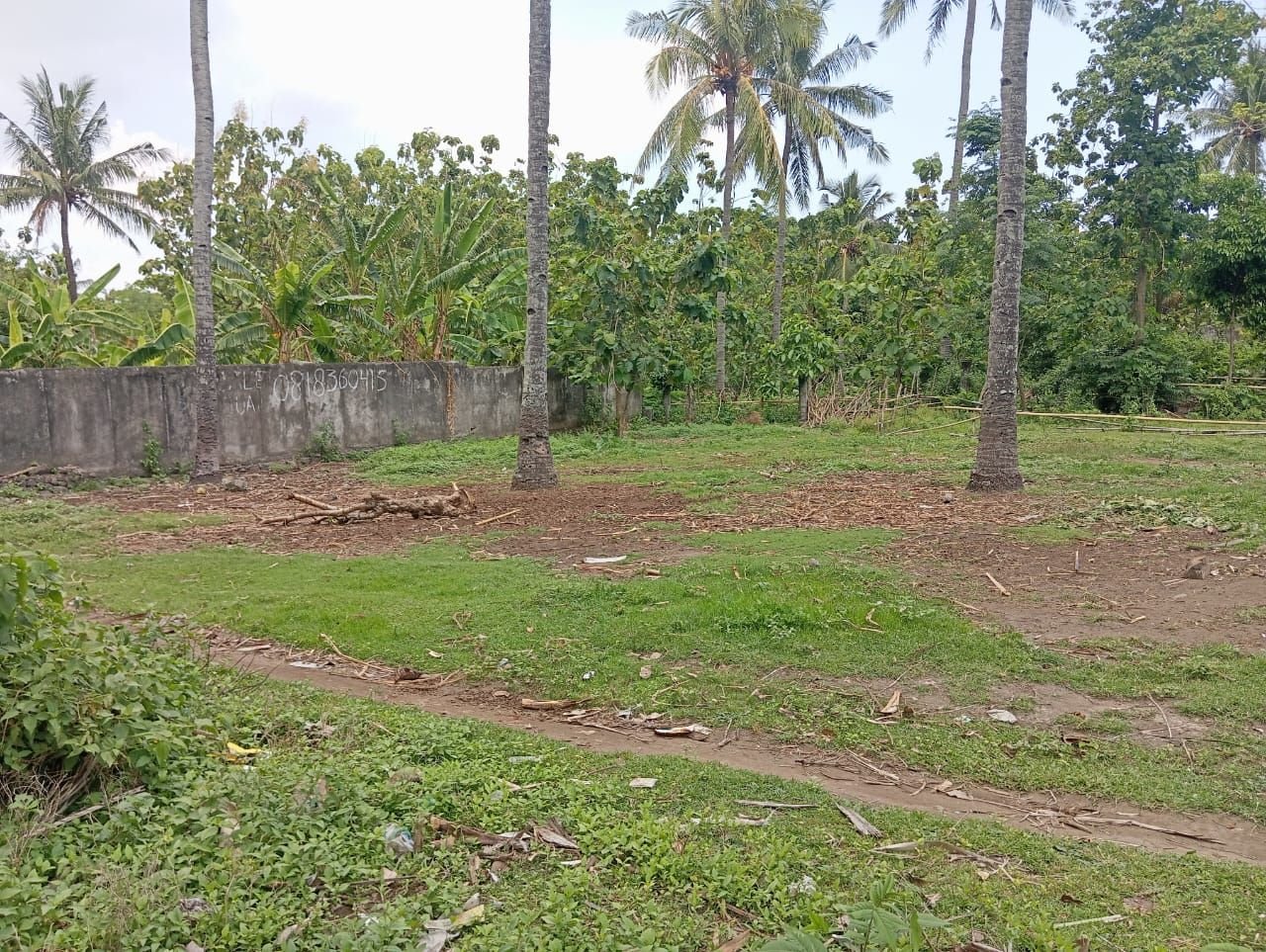 00b5fc16-6656-4401-9af7-e9402313d086