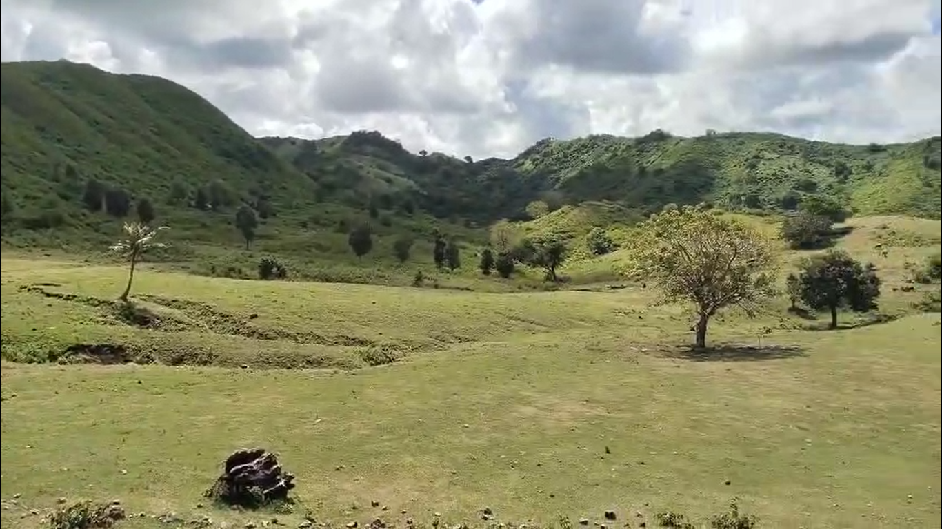 Copy of Screenshot (104)12