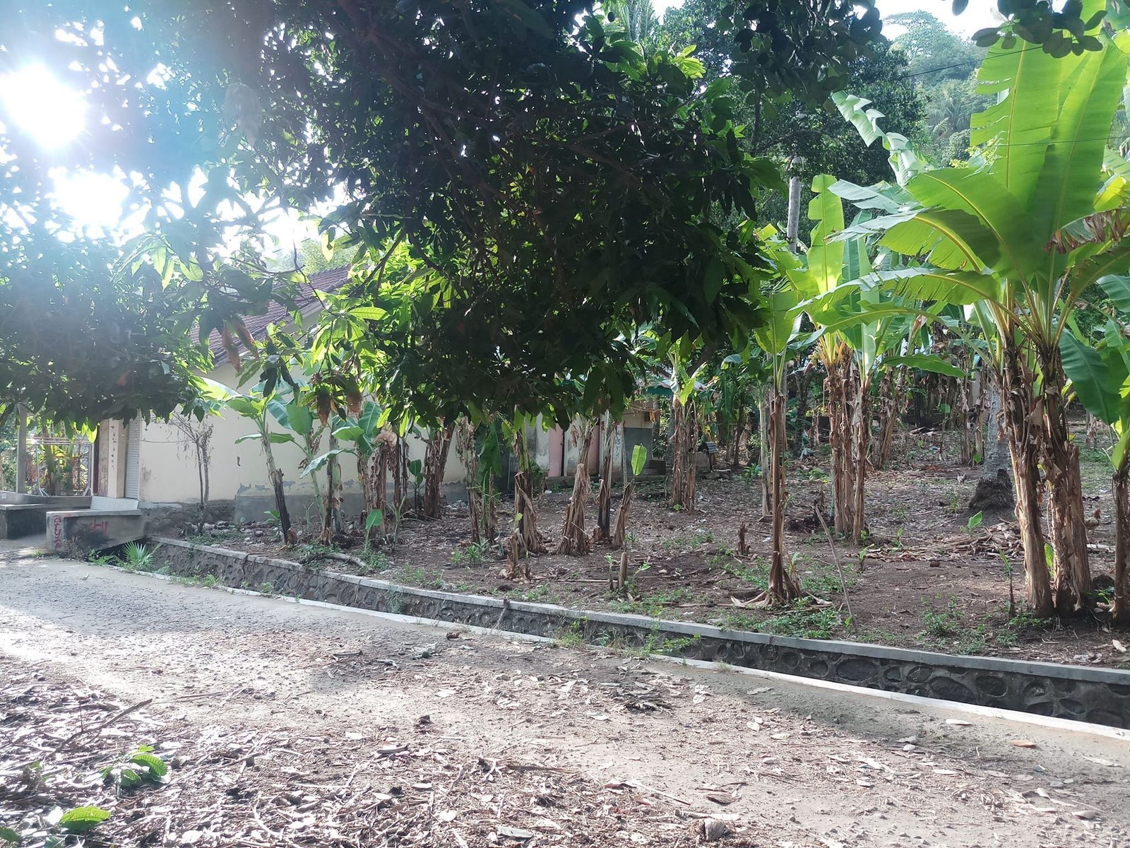 Tanah senggigi15are