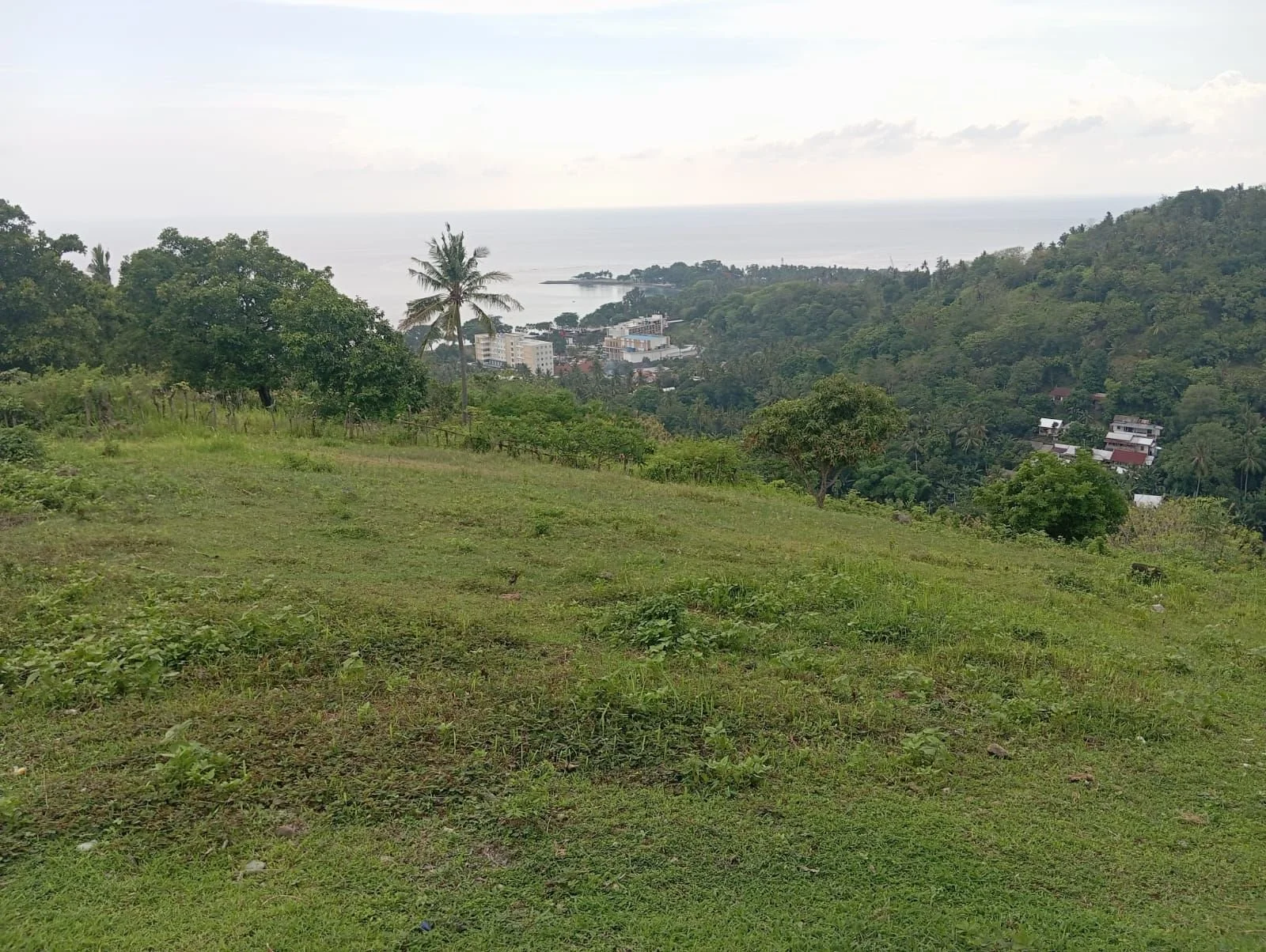 Tanah perbukitan senggigi