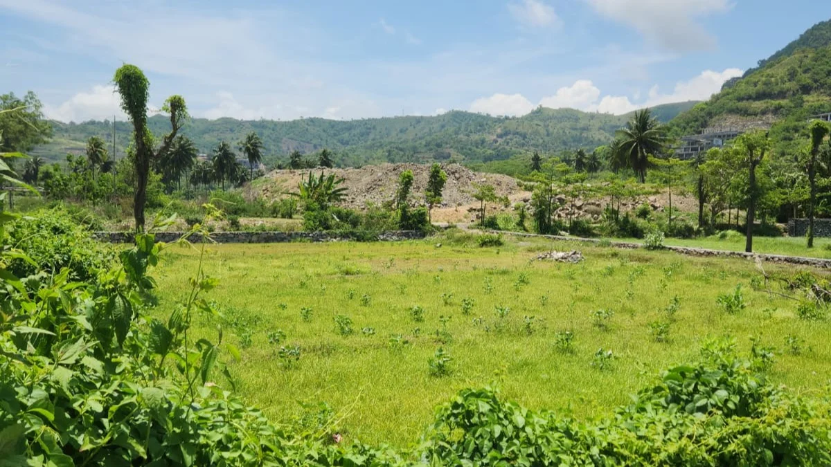 Tanah dekat pantai torok